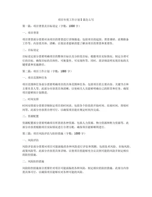 项目年度工作计划5篇怎么写