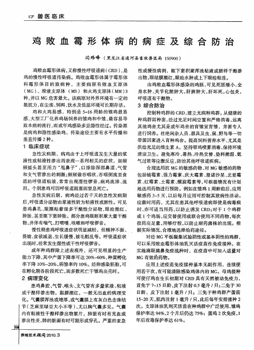 鸡败血霉形体病的病症及综合防治