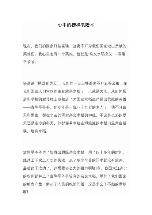 心中的榜样袁隆平作文