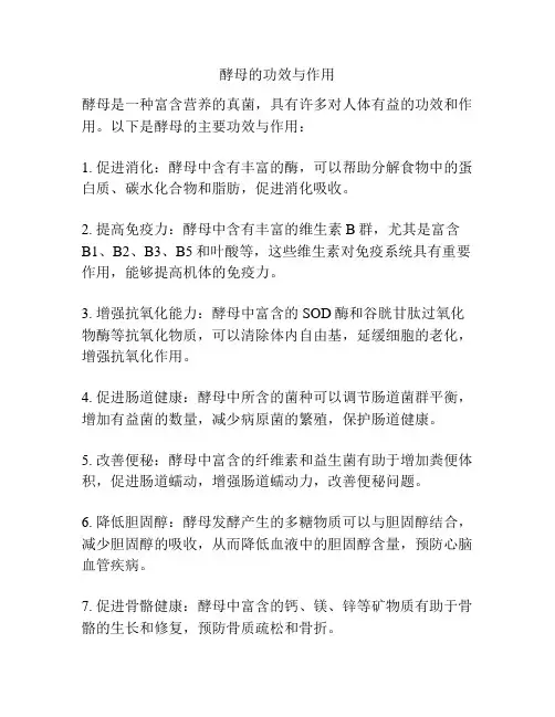酵母的功效与作用