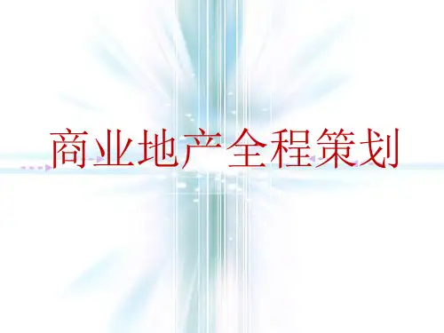 史蒂芬咨询--房地产全程策划咨询案