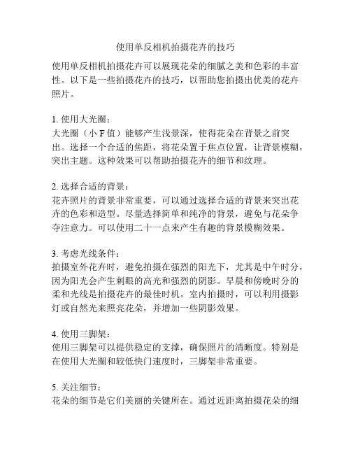使用单反相机拍摄花卉的技巧