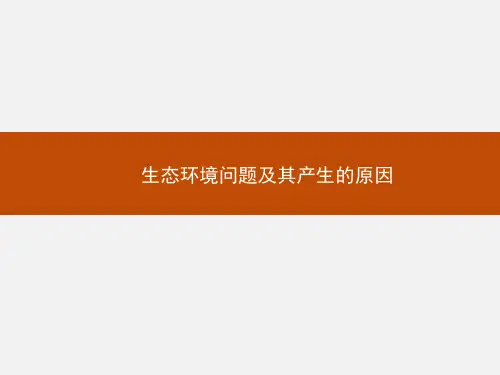 生态环境问题及其产生的原因_课件