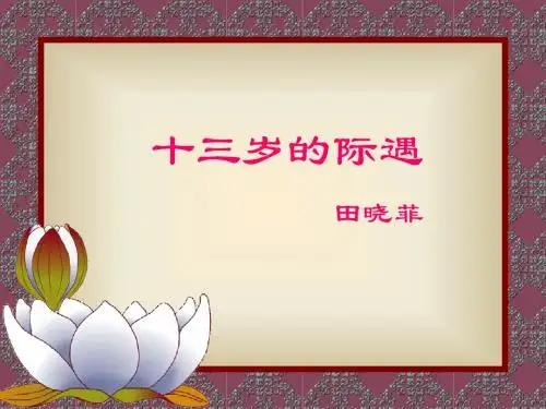 《十三岁的际遇》