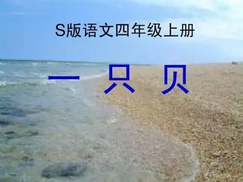 一只贝课件