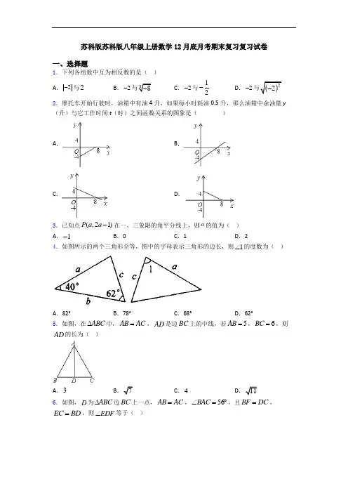 苏科版苏科版八年级上册数学12月底月考期末复习复习试卷
