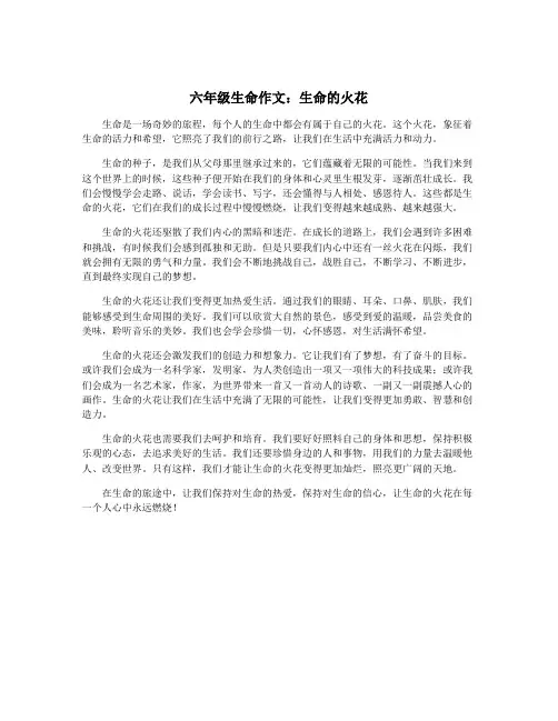 六年级生命作文：生命的火花