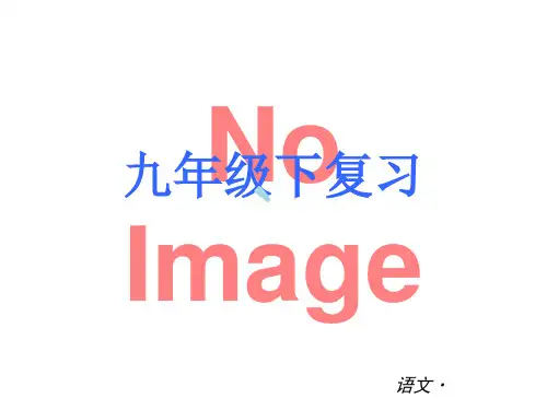 苏教版九年级下册复习