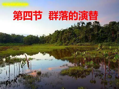 生物必修三第四章第四节课件