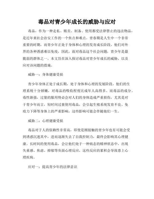 毒品对青少年成长的威胁与应对