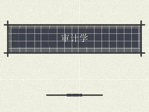 审计学讲义资料新(ppt 231页)