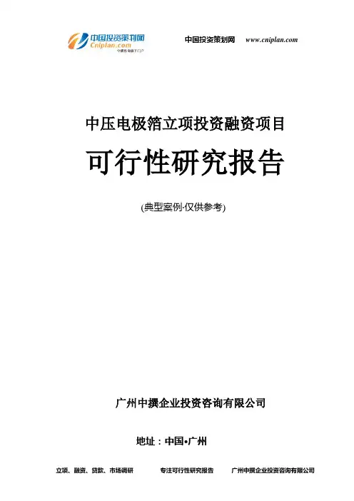 中压电极箔融资投资立项项目可行性研究报告(中撰咨询)