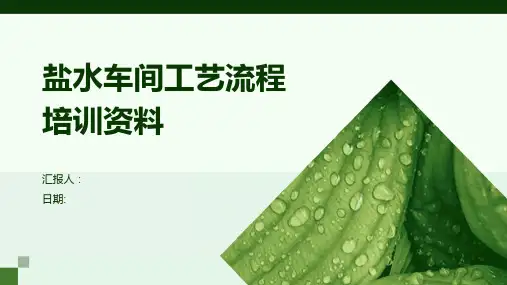 盐水车间工艺流程培训资料