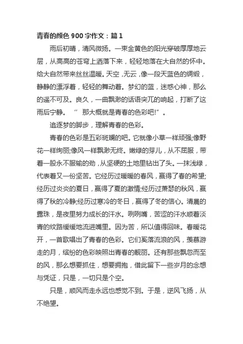 青春的颜色900字作文