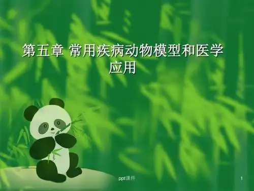 常用疾病动物模型和医学应用  ppt课件