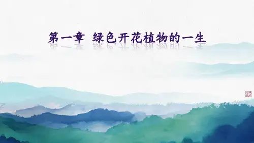 4.1绿色植物的一生复习课件济南版生物八年级上册