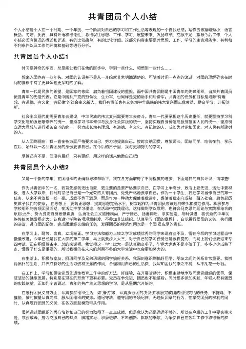 共青团员个人小结