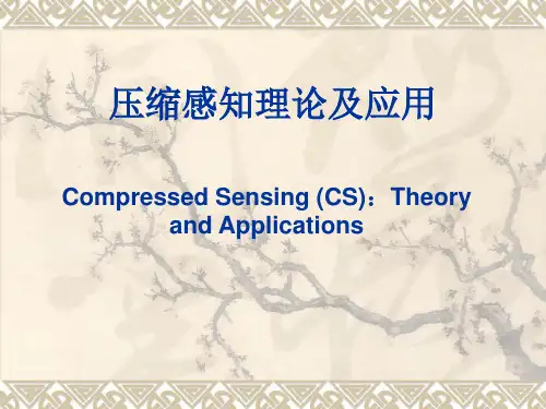 压缩感知介绍PPT