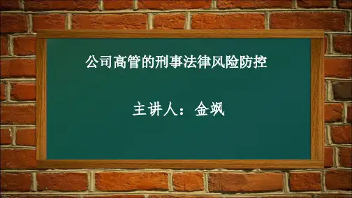 《公司高管的刑事法律风险防控》-金飒剖析