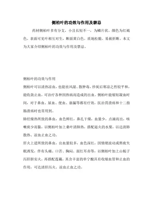 侧柏叶的功效与作用及禁忌.doc