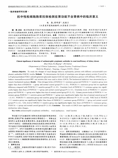 抗中性粒细胞胞浆抗体检测在肾功能不全肾病中的临床意义