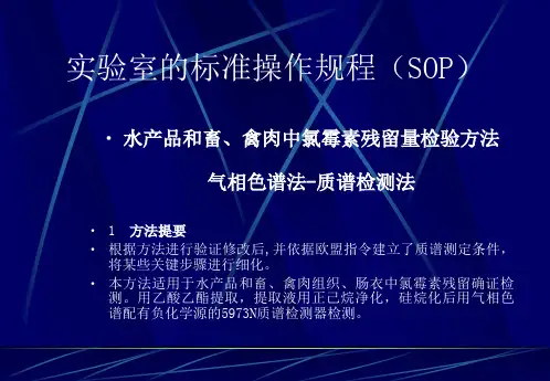 实验室的标准操作规程(SOP)(PPT 13)