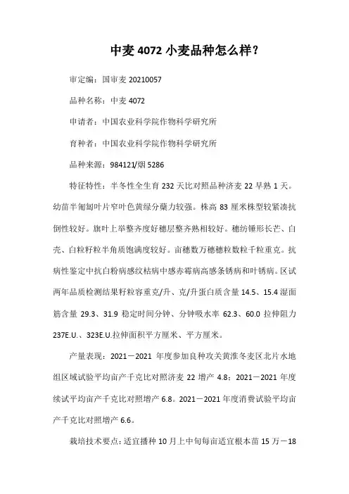 中麦4072小麦品种好不好？