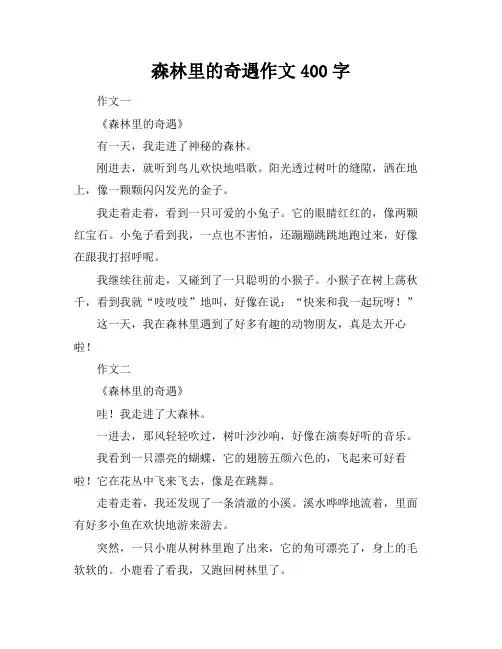 森林里的奇遇作文400字