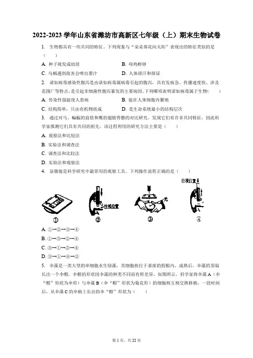 2022-2023学年山东省潍坊市高新区七年级(上)期末生物试卷(附答案详解)