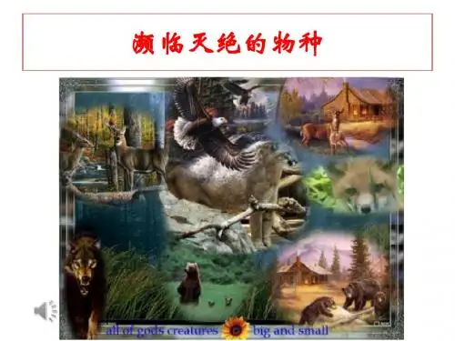 濒临灭绝的物种