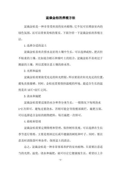盆栽金桔的养殖方法