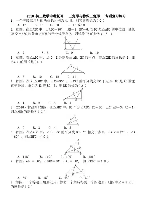 2018年中考总复习《三角形与特殊三角形》专项复习练习有答案-(数学)