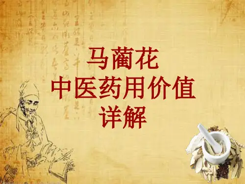 中药学_马蔺花_药材详解课件模板_性味