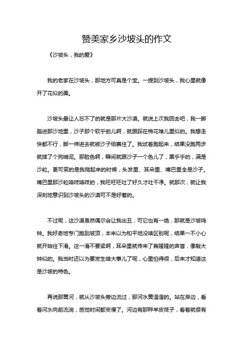 赞美家乡沙坡头的作文