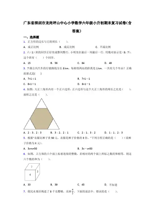 广东省深圳市龙岗坪山中心小学数学六年级小升初期末复习试卷(含答案)