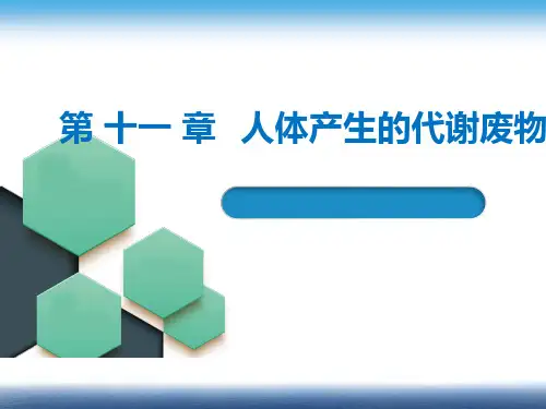 北师大版生物七年级下册：11.1 人体产生的代谢废物 课件  (共19张PPT)