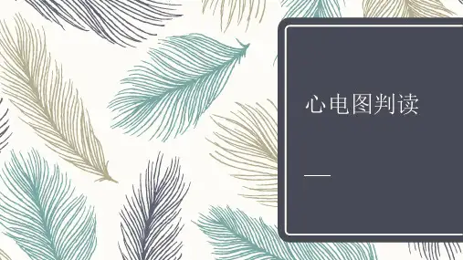 心电图判读课件