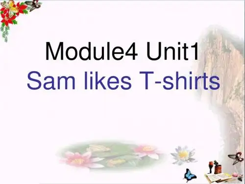 二年级英语上册Module4Unit1SamlikeT_shirtsppt课件1外研版(一起)