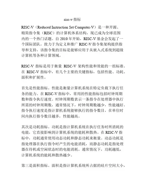 risc-v指标