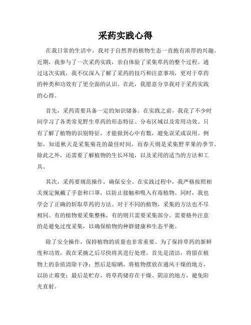 采药实践心得