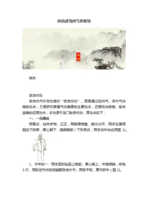 内功武当内气外发功