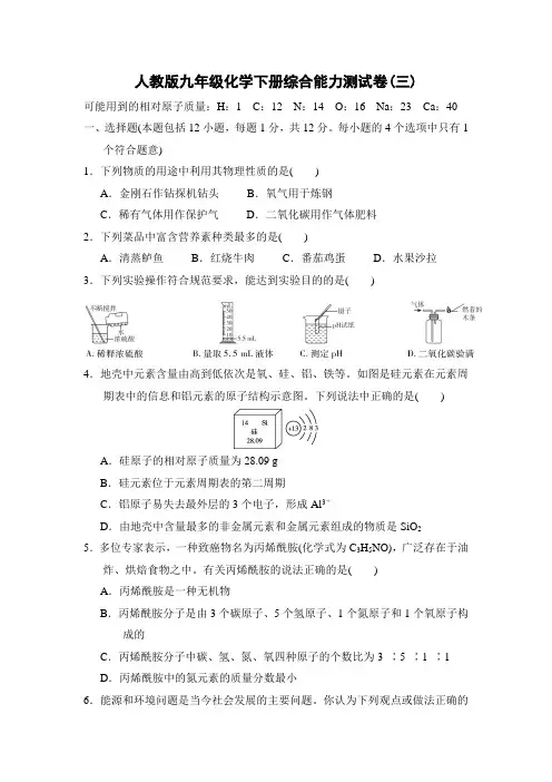 人教版九年级化学下册综合能力测试卷(附答案) (2)