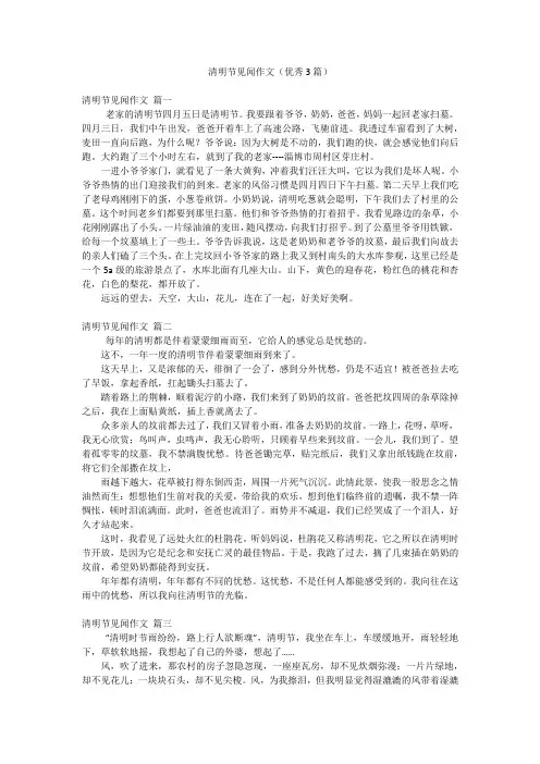 清明节见闻作文(优秀3篇)