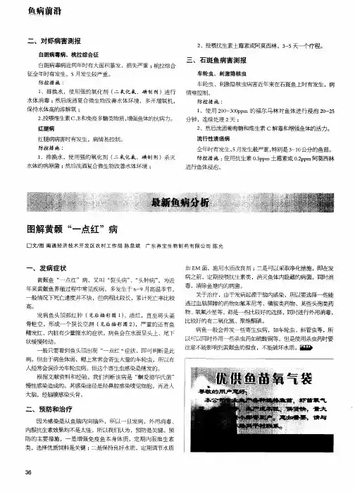图解黄颡“一点红”病
