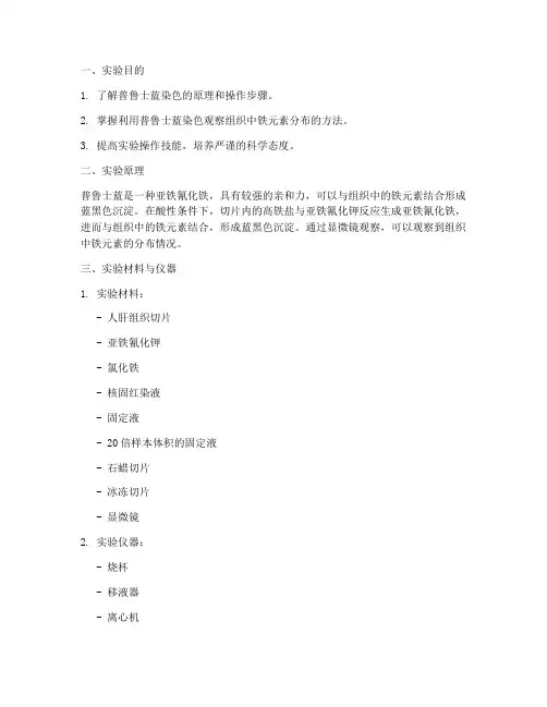 普鲁士蓝实验报告