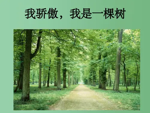 八年级语文下学期 我骄傲,我是一棵树课件 苏教版