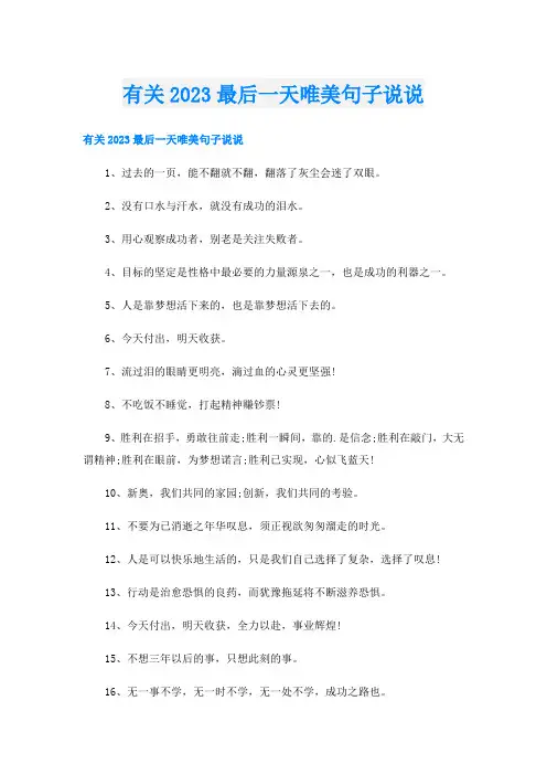 有关2023最后一天唯美句子说说