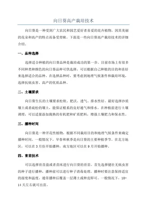 向日葵高产栽培技术