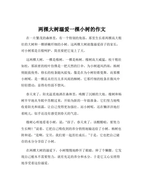 两棵大树溺爱一棵小树的作文 2