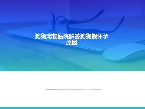 狗狗宠物医院解答狗狗假怀孕原因